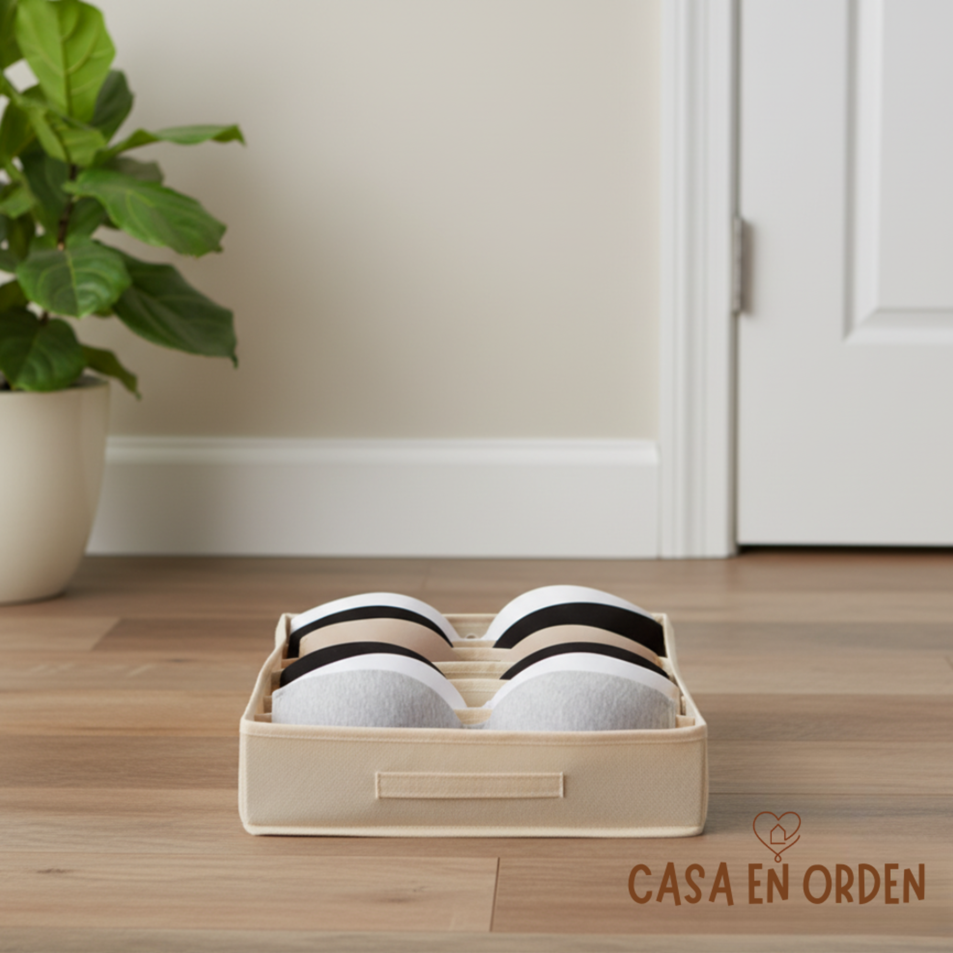 Organizador de Corpiños